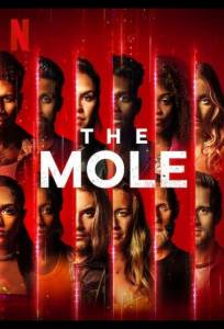 Крот (тв шоу 2022)